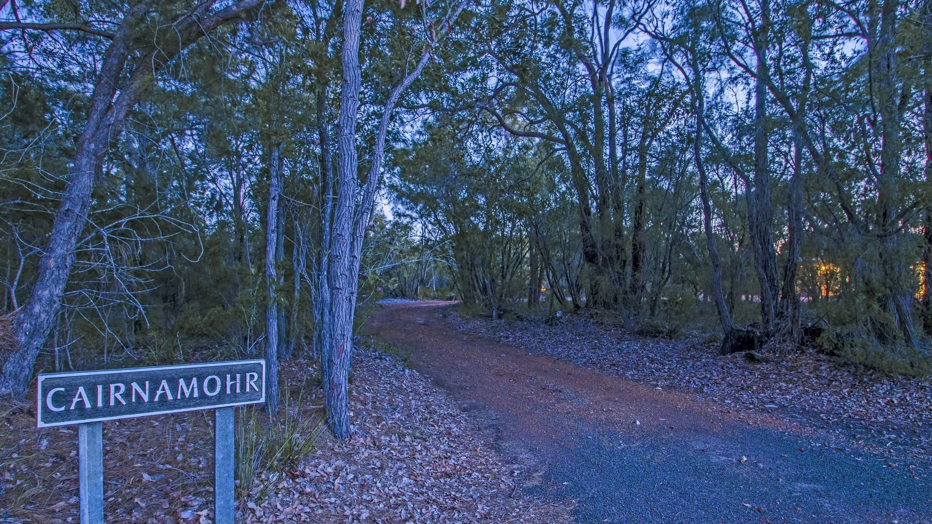 Cairnamohr - Tranquil Bush Retreat - Pets ok — image 26