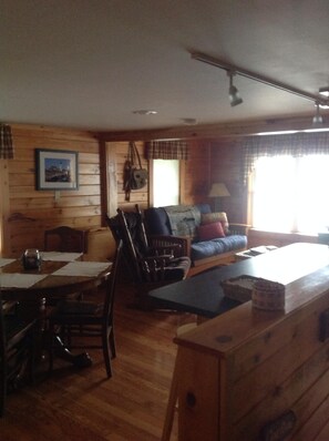 Smart TV, fireplace, DVD player, books