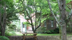 A wooden bench in a wooded area with a brick building in the background. - Historic brick stables (Otaki)