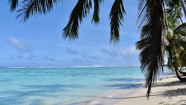 Ein Strand mit klarem türkisblauem Wasser, weißem Sand und Palmen.