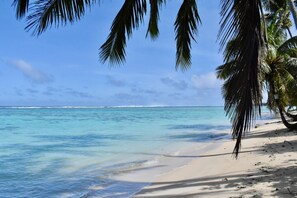 A beach with clear turquoise water, white sand, and palm trees.