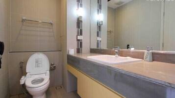 Hair dryer, towels, toilet paper
