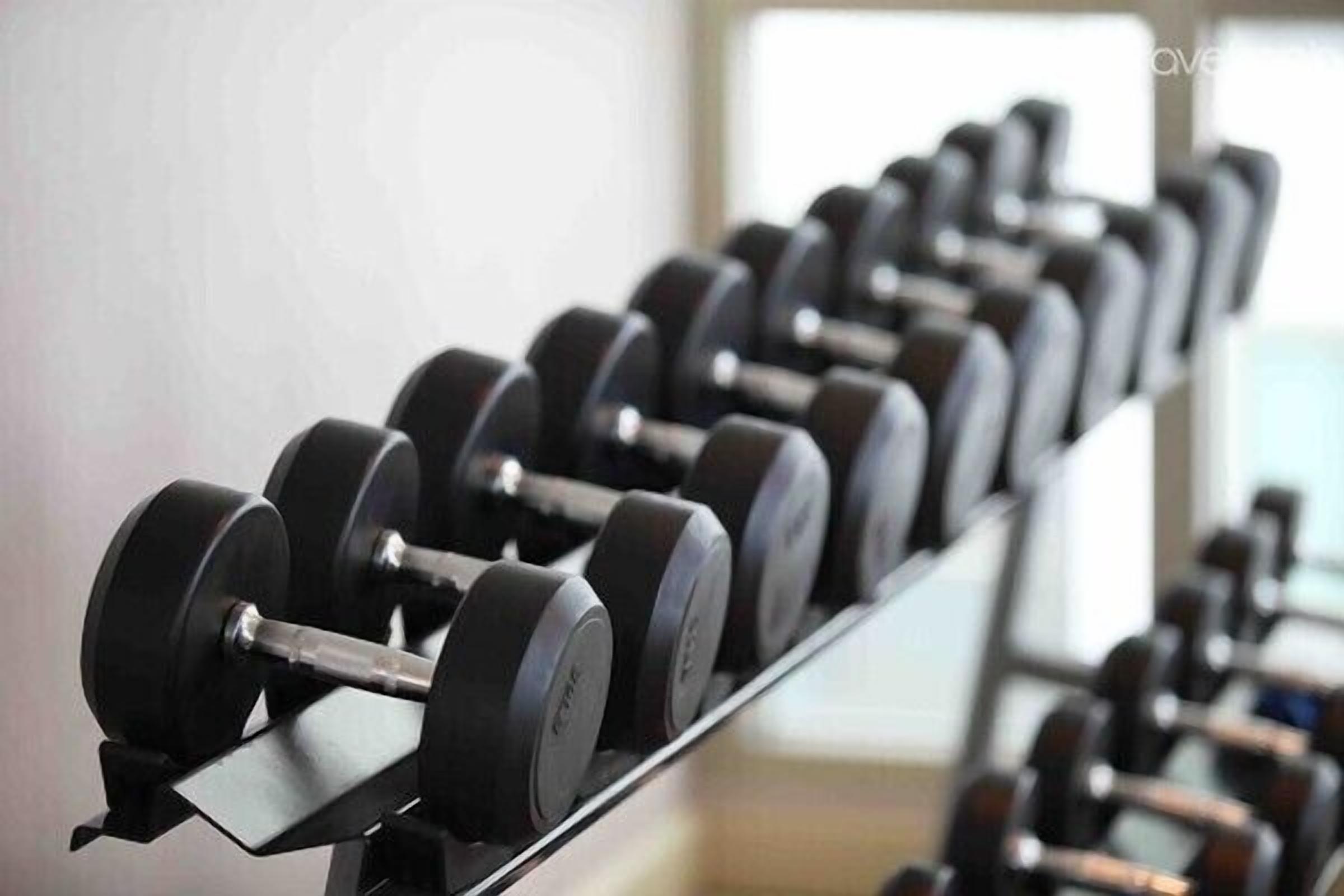 A row of black dumbbells on a rack in a gym.