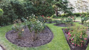 Jardín