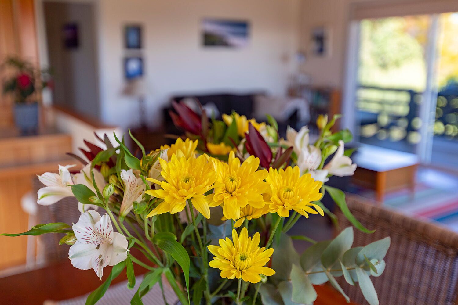 Cockatoo Cabin Bay of Fires — image 18