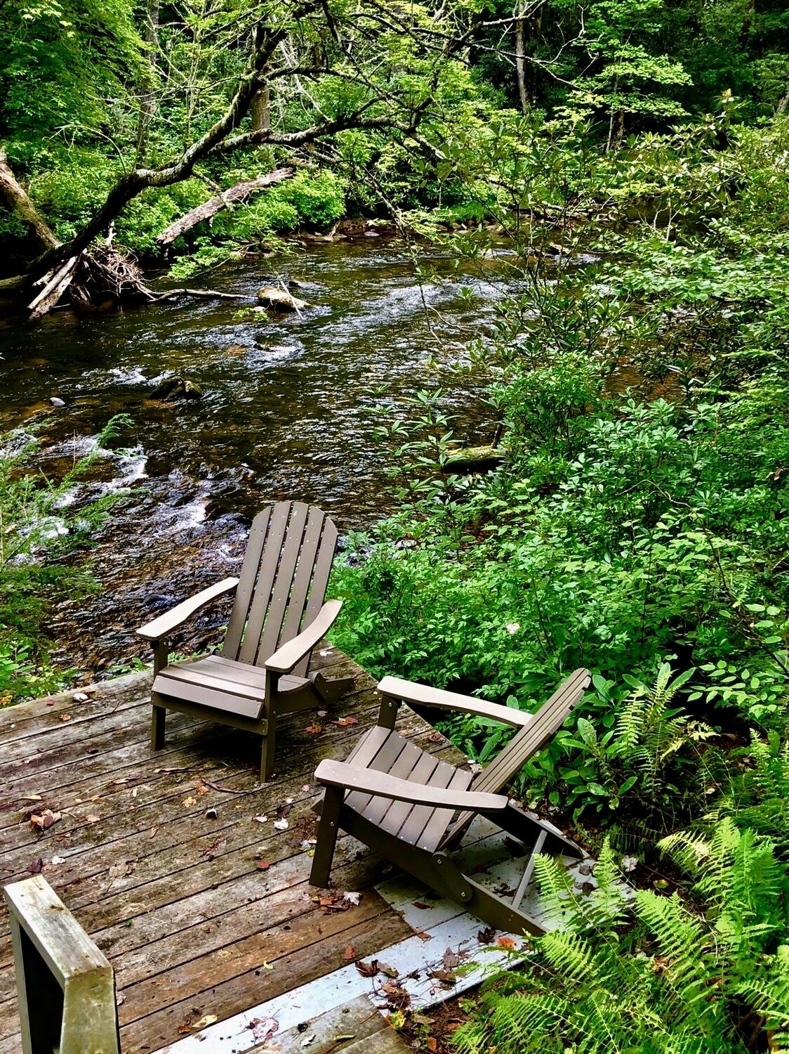 Newly Remodeled River-Front Cottage   in Highlands