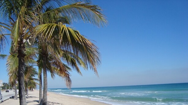 A beach with palm trees and ocean waves. -  Steps to the Beach and a Stroll to Fort Lauderdale Nightlife  (Fort Lauderdale)