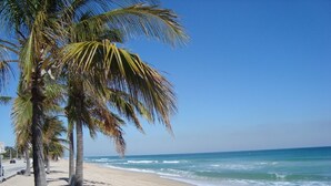 Una playa con palmeras y olas del océano.