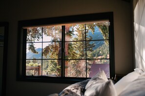 Interior - Cabin in the Pines, Artfully Renovated - Great Views - Quaint Green Mtn Falls... (Green Mountain Falls)