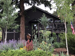 Exterior - Cabin in the Pines, Artfully Renovated - Great Views - Quaint Green Mtn Falls... (Green Mountain Falls)