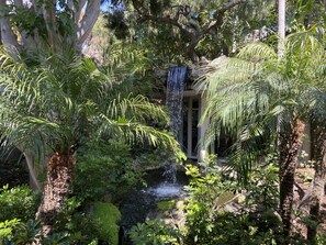 Escape to a serene oasis surrounded by lush greenery and a soothing waterfall.
