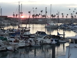 Boats docked at the marina, surrounded by tall palm trees.