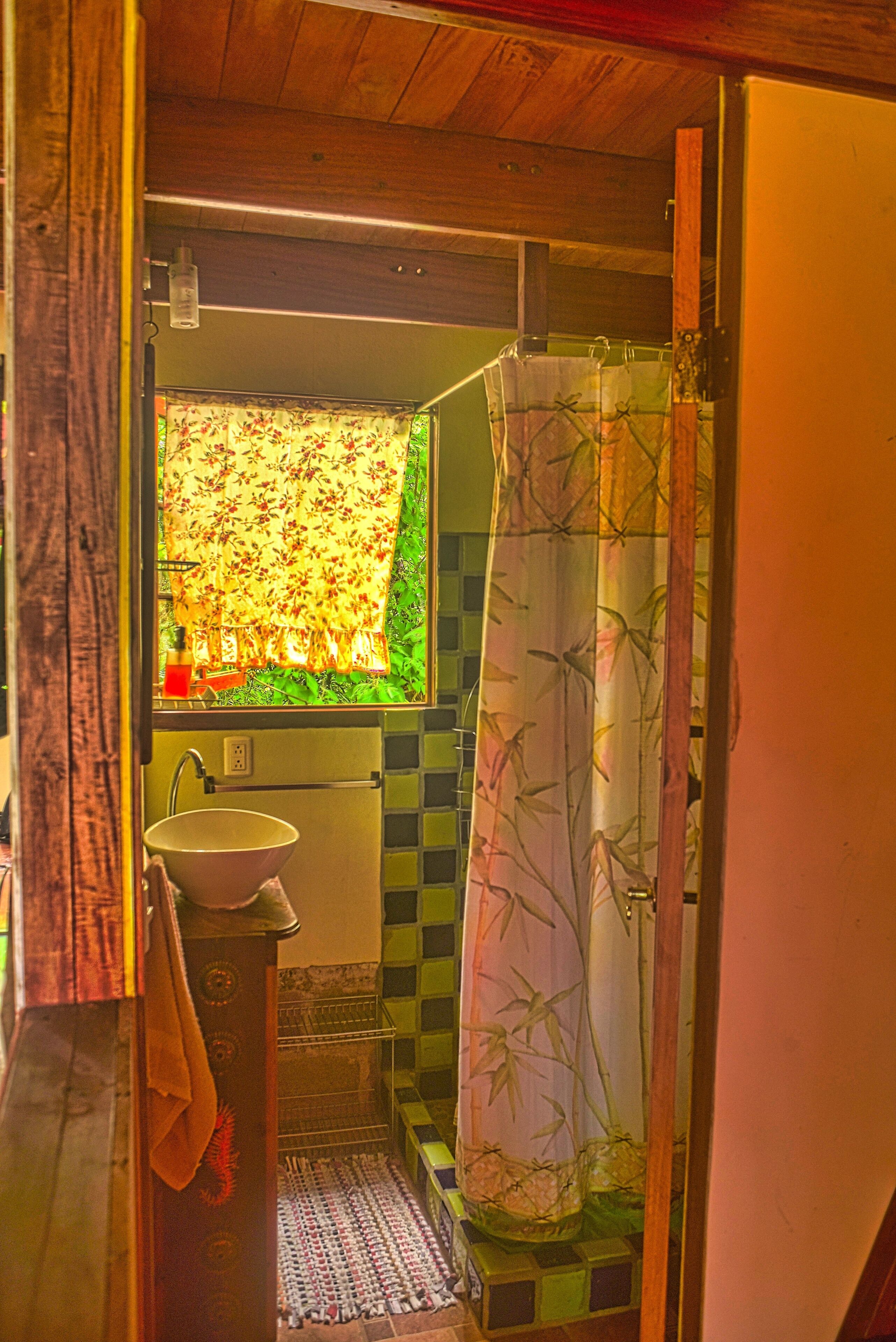 Shower, towels, toilet paper