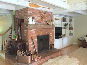 Televisión, chimenea, videojuegos y reproductor de DVD