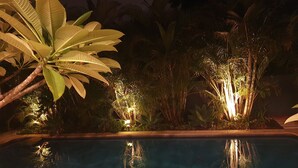 A nighttime pool area with illuminated plants and a clear pool. - 5 Star Luxury Villa with Private pool (Scarborough)