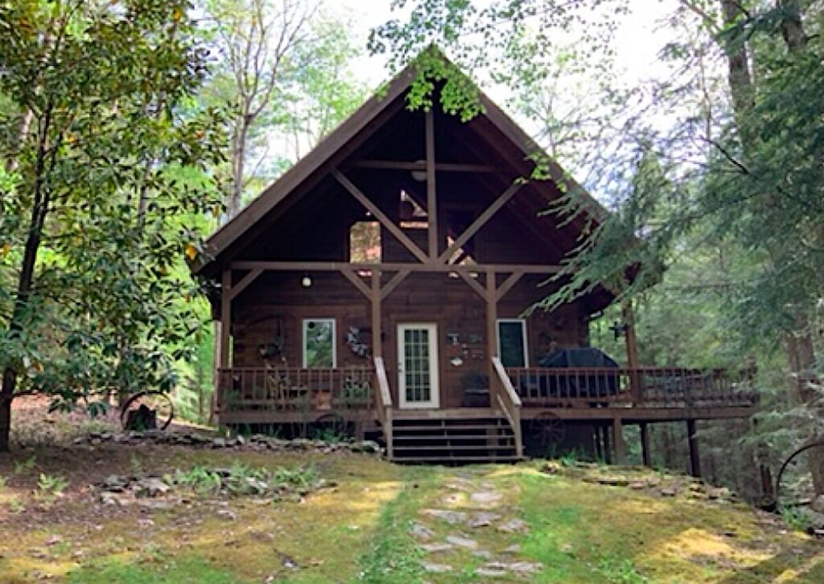 Imagen de perfil del propietario o de la propietaria