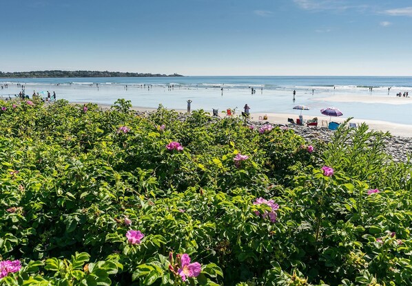 Plage à proximité