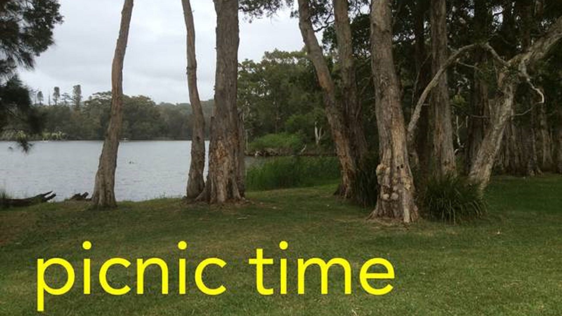 A grassy area with trees and a body of water, labeled "picnic time".