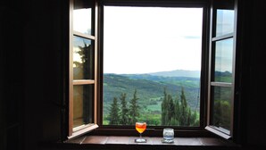 A window with a view of a green landscape and a glass of orange liquid on the windowsill.