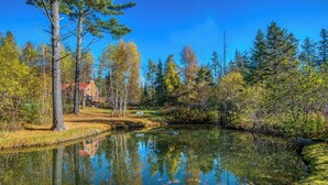 Ein Haus, umgeben von Wald und Teich.