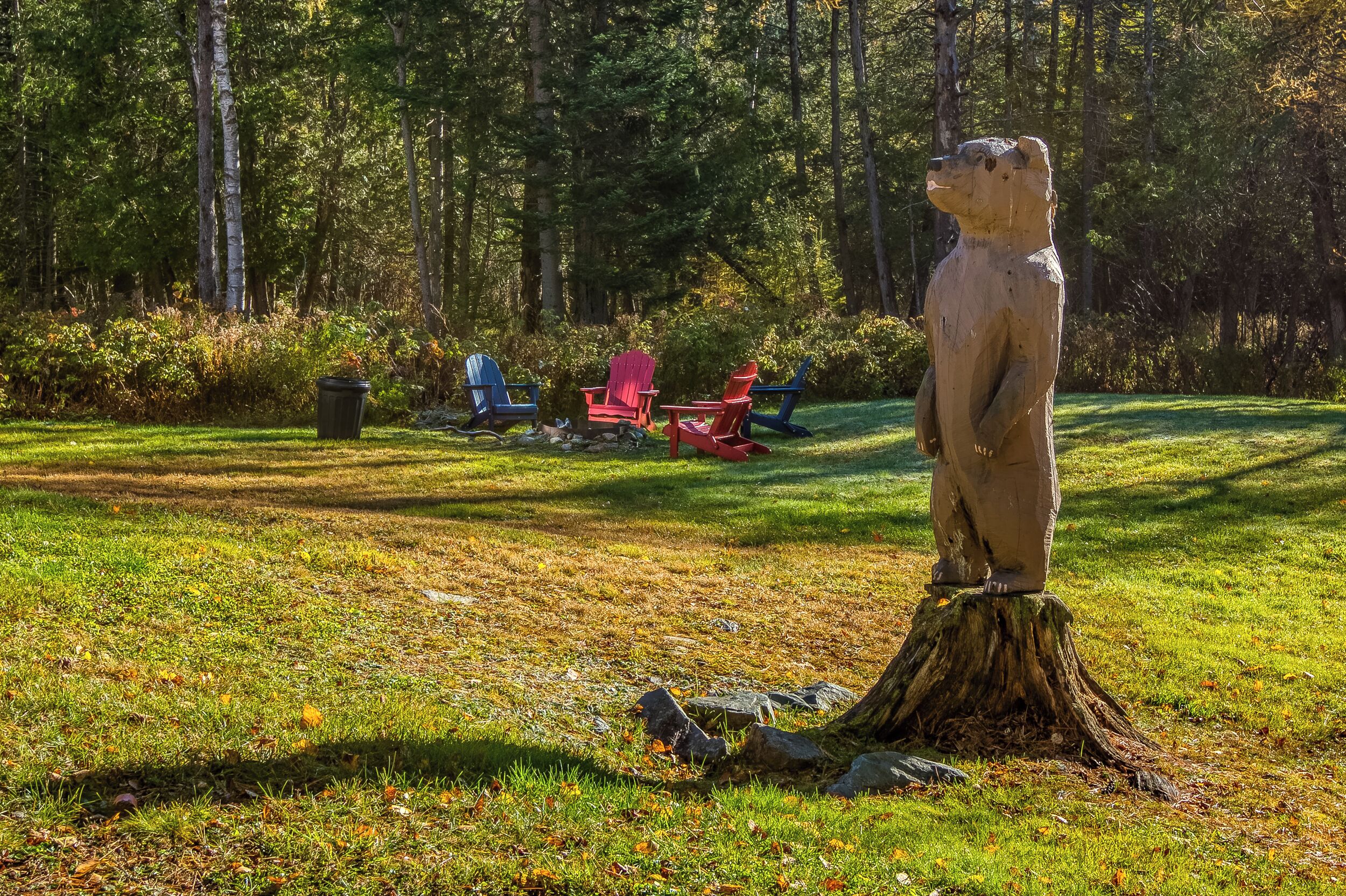 Un parque con una estatua de oso, césped verde y sillas Adirondack rojas y azules.