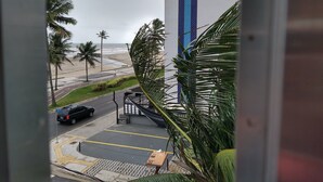 Vista de una playa con palmeras, una carretera y un edificio con una franja azul.