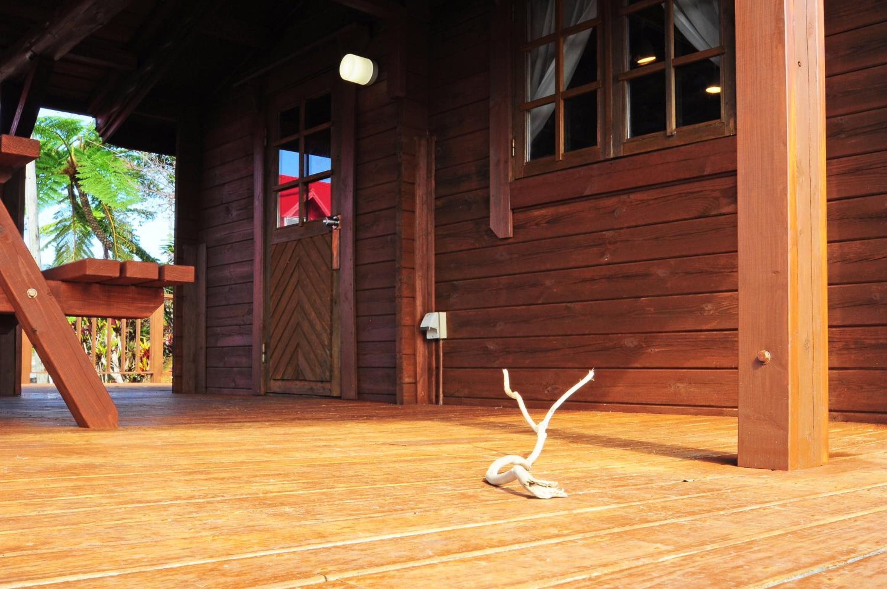 A wooden cabin with a wooden deck, a large wooden door with a red ribbon, and a small white object on the floor.