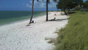 Een strand met palmbomen, mensen die zonnebaden en een helder uitzicht op de oceaan.