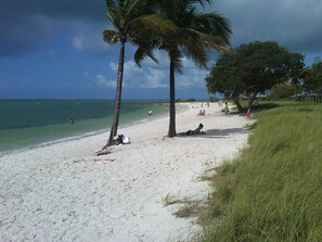Camastros y toallas de playa 