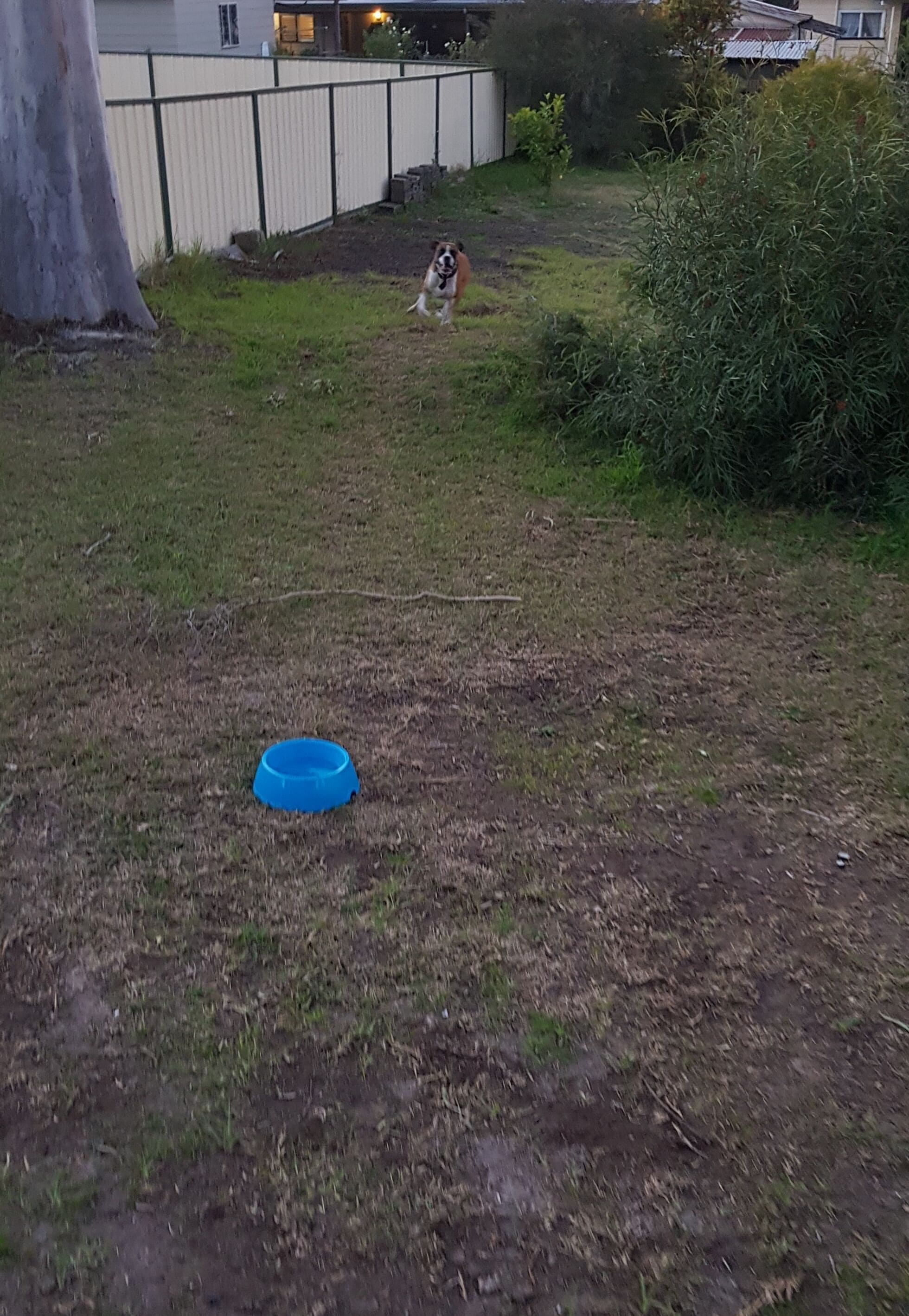 Pet Friendly Holiday Accommodation! — image 26