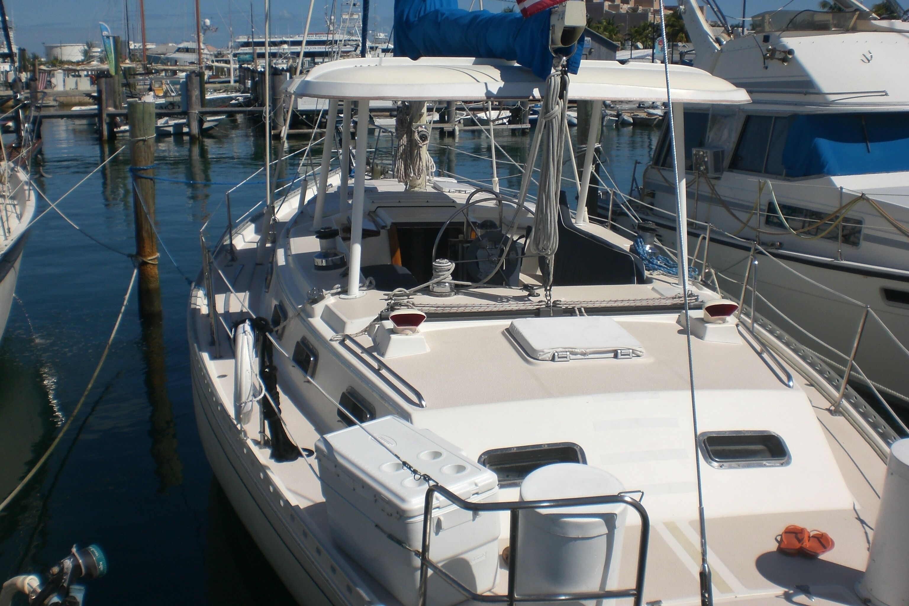 Key West Harbor  44ft Morgan Catalina Sailboat Wild Thing 