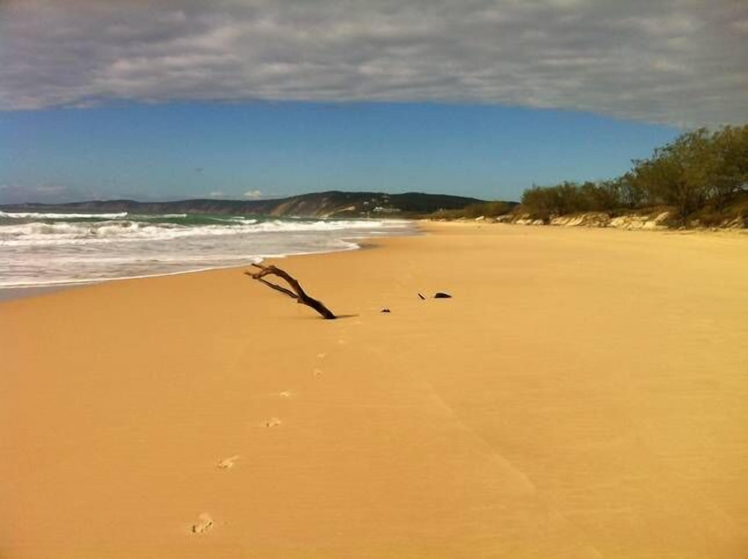 \"The Swans Nest\" Beach House — image 25