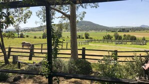 A fenced outdoor area with a wooden structure, a tree, and a distant view of a hilly landscape.