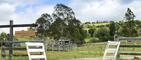 Área da propriedade