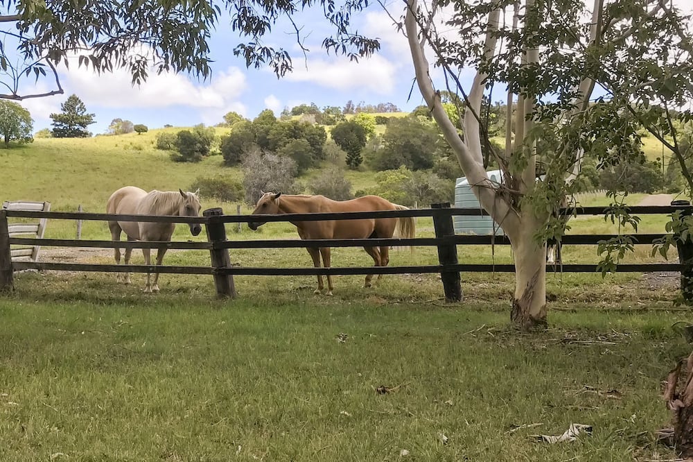 Top 10 Ranches To Stay In Australia - Updated 2024 | Trip101