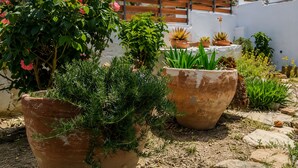 Ein Garten mit Kübelpflanzen, einem Holzzaun und einem Gebäude im Hintergrund.