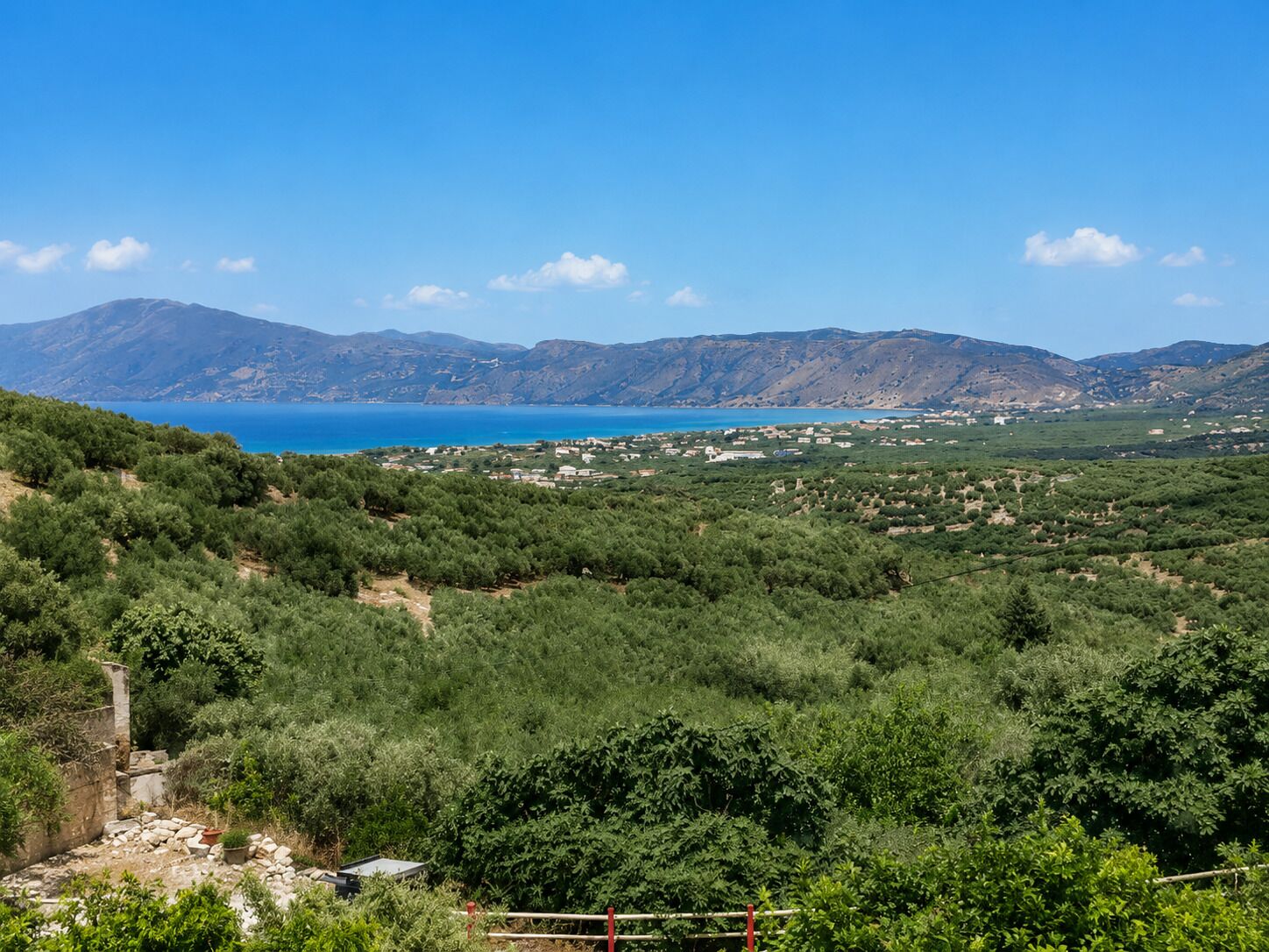 Un paysage côtier avec des oliviers, une mer bleue et limpide, et des montagnes à l’horizon.