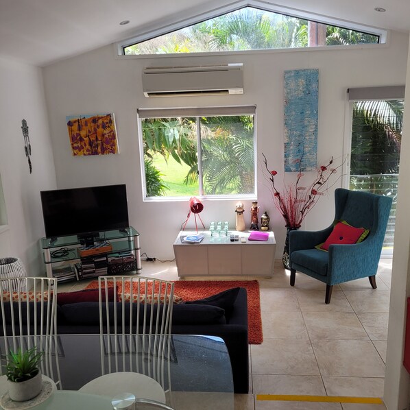 Smart TV, DVD player, video library