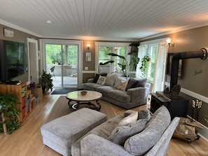 Smart TV, fireplace, DVD player, books