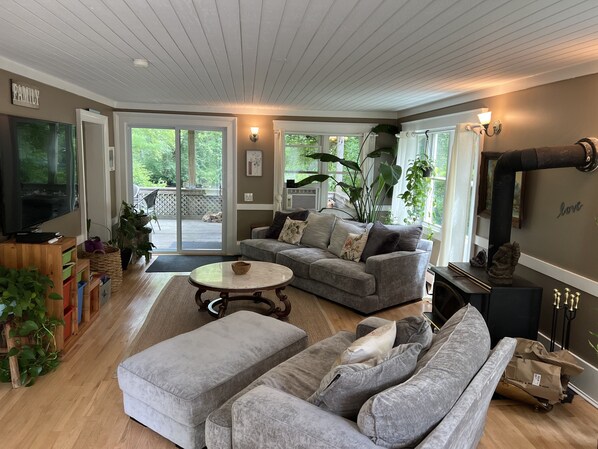 Smart TV, fireplace, DVD player, books