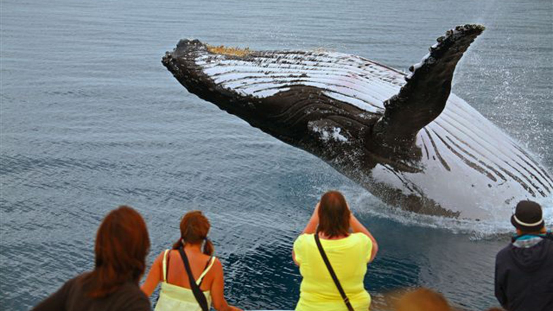 The Grange Resort Family Accommodation — image 4