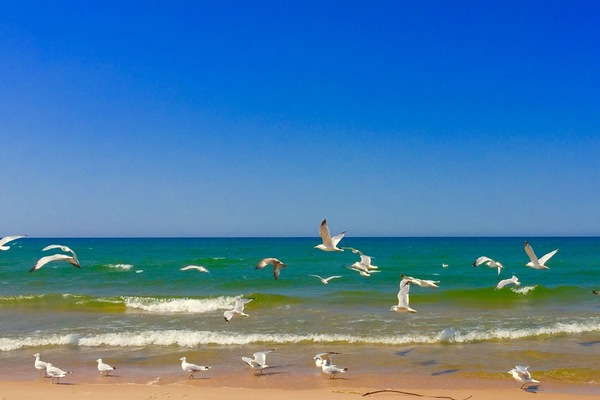 Lake Michigan only 3 blocks away!!