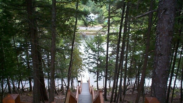 A wooden staircase leading to a dock in a forested area.