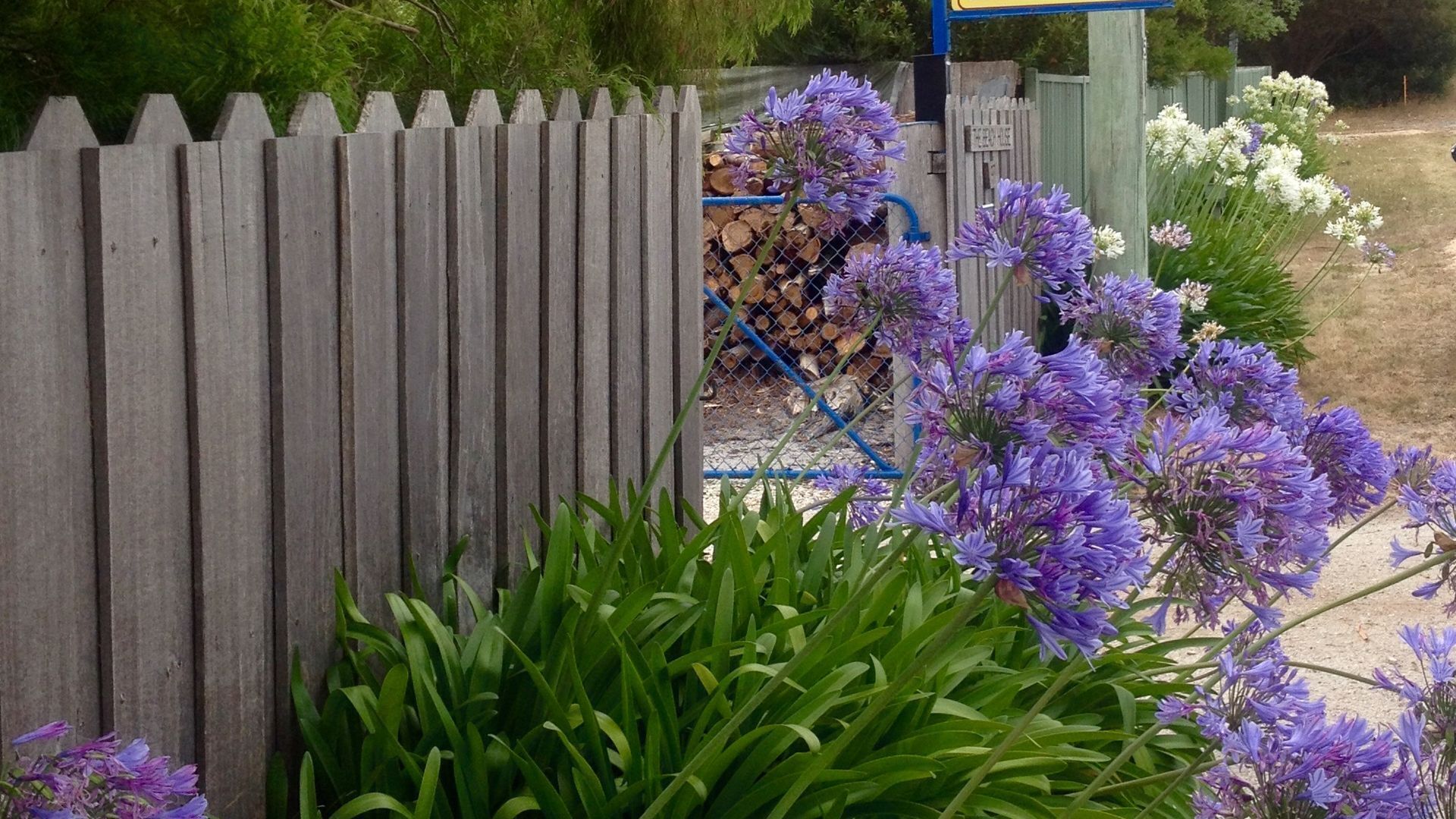 Stunning water views. Direct bayside access.  Free WIFI.  Dark sky viewing. — image 16