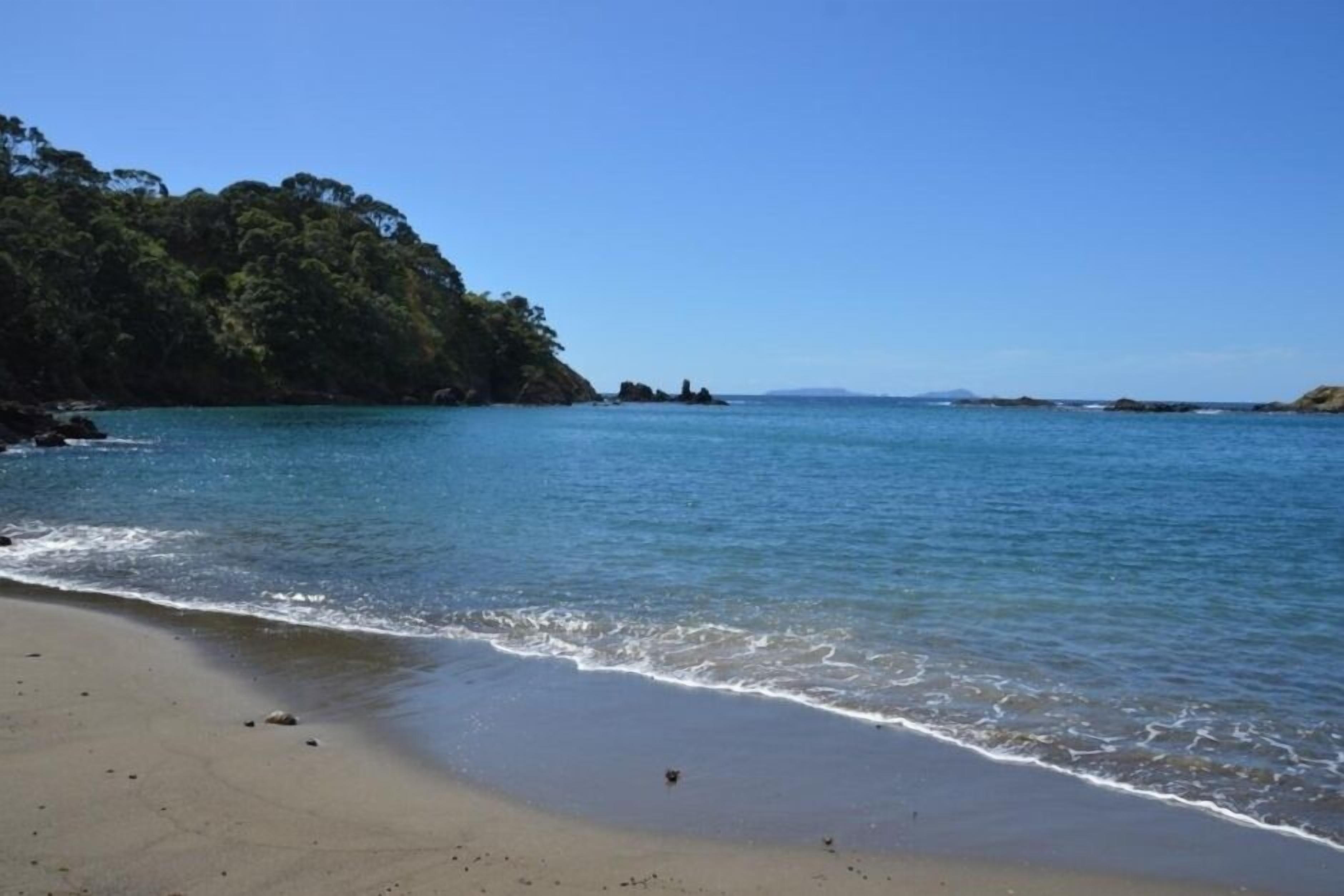 Una playa con agua azul cristalina, orilla arenosa y una colina boscosa al fondo.