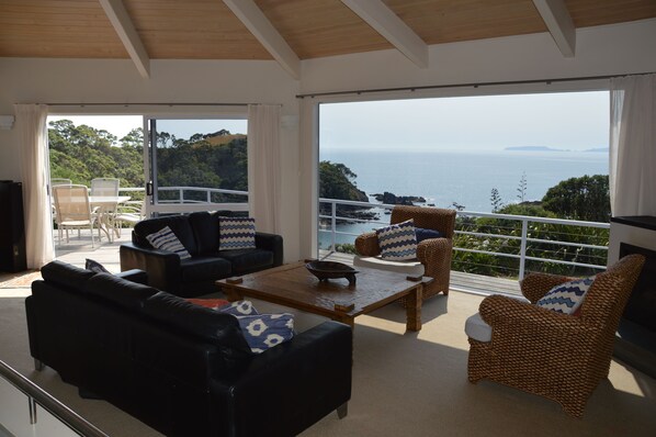 Smart TV, fireplace, DVD player, books