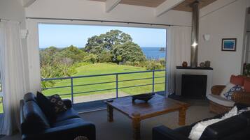 Smart TV, chimenea, reproductor de DVD, libros