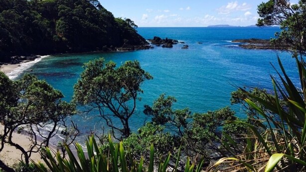 A coastal landscape with a beach, clear blue waters, and dense greenery.