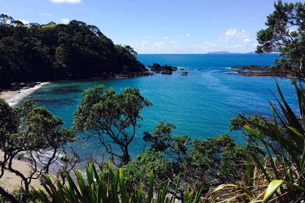the bay