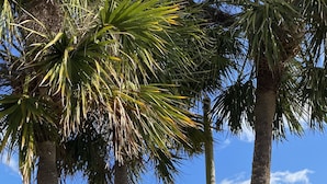 Un panneau d’accueil pour Indian Rocks Beach, orné du logo du Rotary International.